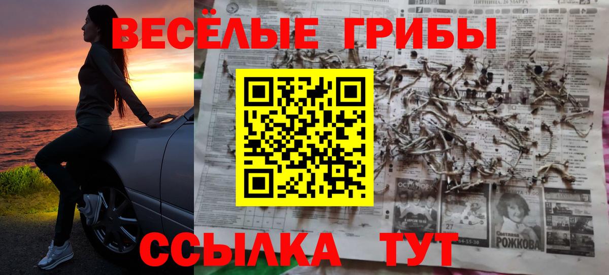 Галлюциногенные грибы MAGIC MUSHROOMS  Псилоцибиновые грибы мухоморы  Волгоград  Вход с VPN 