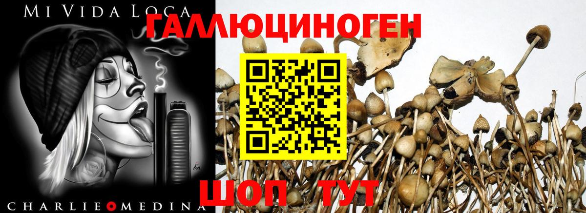 Галлюциногенные грибы ЛСД Волгоград